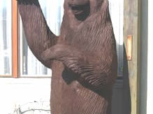 baer29